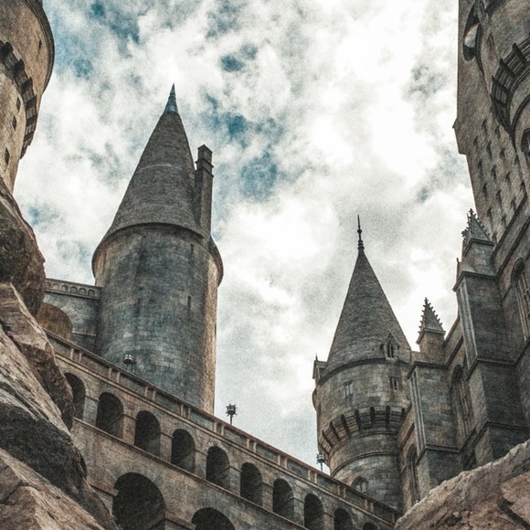 Chocolate Frog Enamel Pin - Harry Potter - Picture 4 of 4